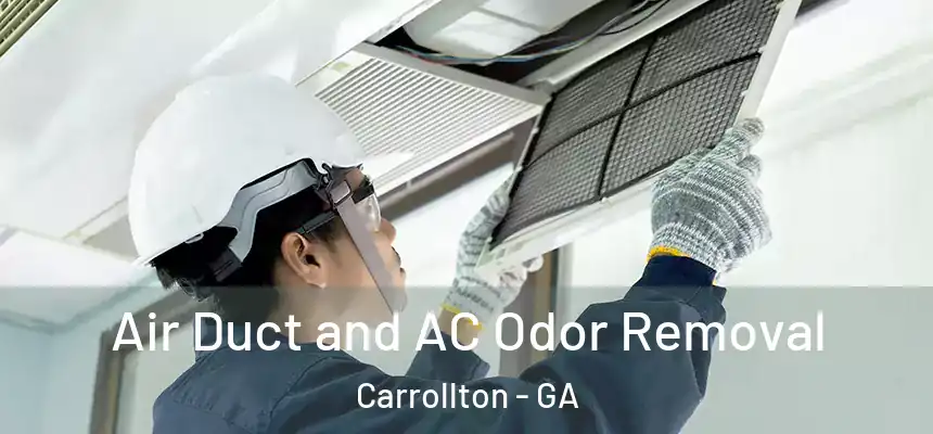 Air Duct and AC Odor Removal Carrollton - GA