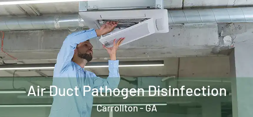  Air Duct Pathogen Disinfection Carrollton - GA