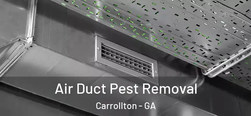 Air Duct Pest Removal Carrollton - GA