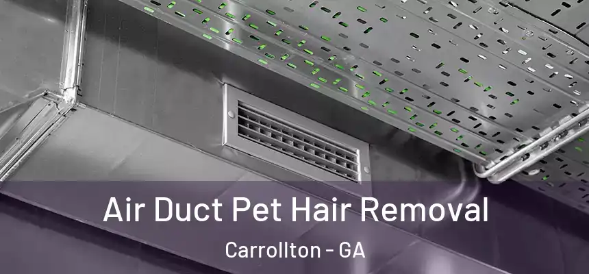  Air Duct Pet Hair Removal Carrollton - GA