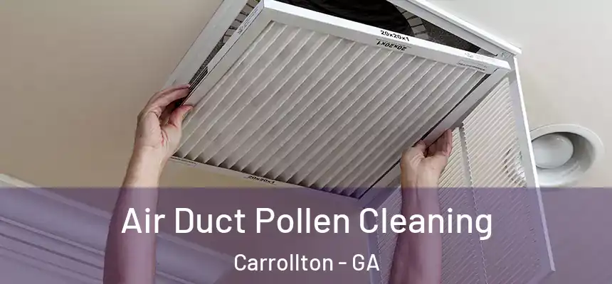  Air Duct Pollen Cleaning Carrollton - GA
