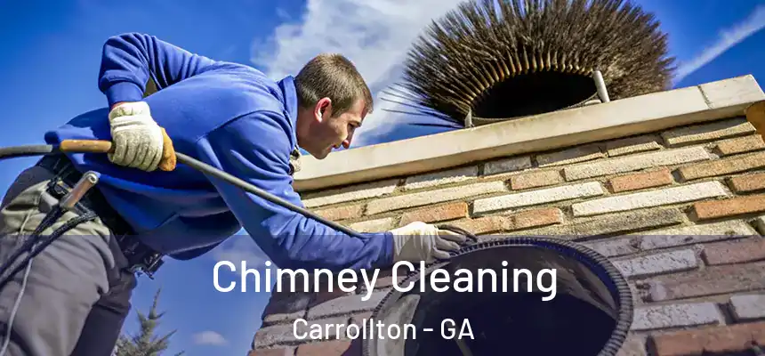  Chimney Cleaning Carrollton - GA