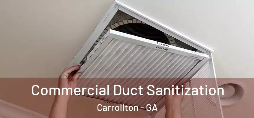  Commercial Duct Sanitization Carrollton - GA