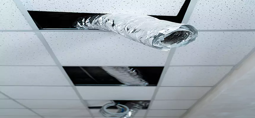 Affordable HVAC Sanitizing After Pest Removal in Carrollton