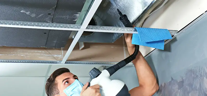 Our Air Duct Rodent Removal Services in Carrollton, GA