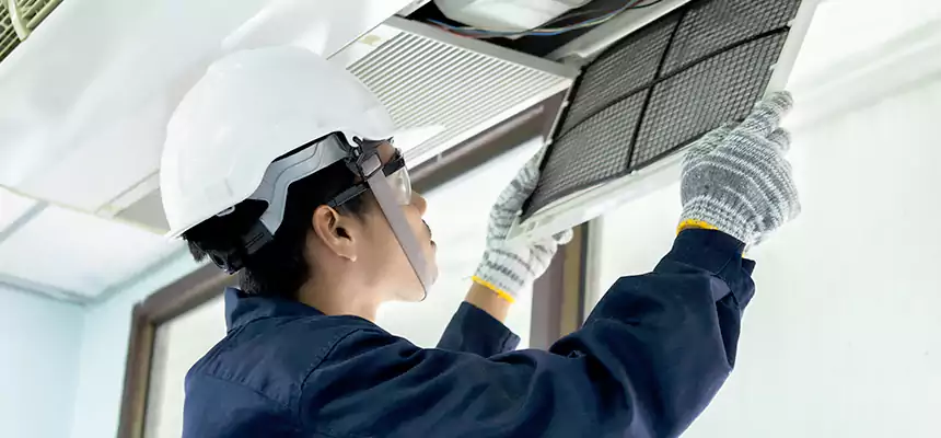 Our Mold & Mildew Removal from Air Ducts Services in Carrollton, GA