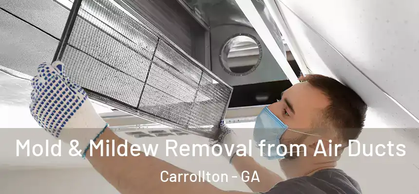 Mold & Mildew Removal from Air Ducts Carrollton - GA