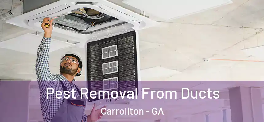 Pest Removal From Ducts Carrollton - GA