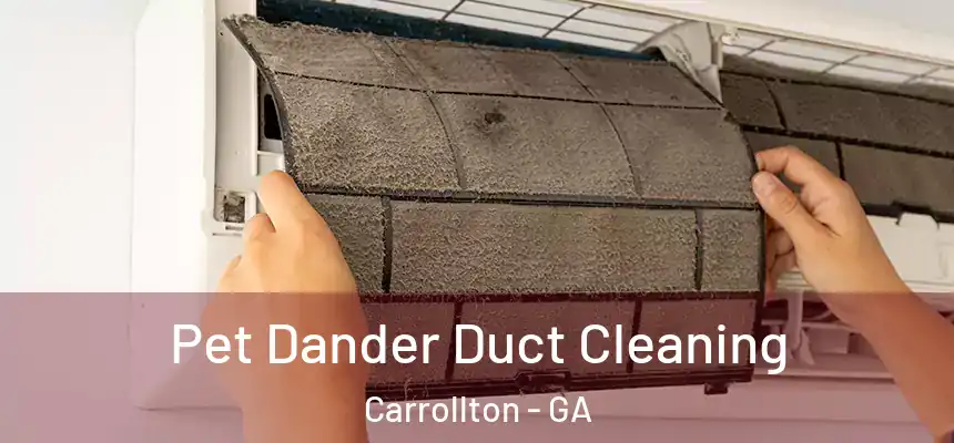  Pet Dander Duct Cleaning Carrollton - GA