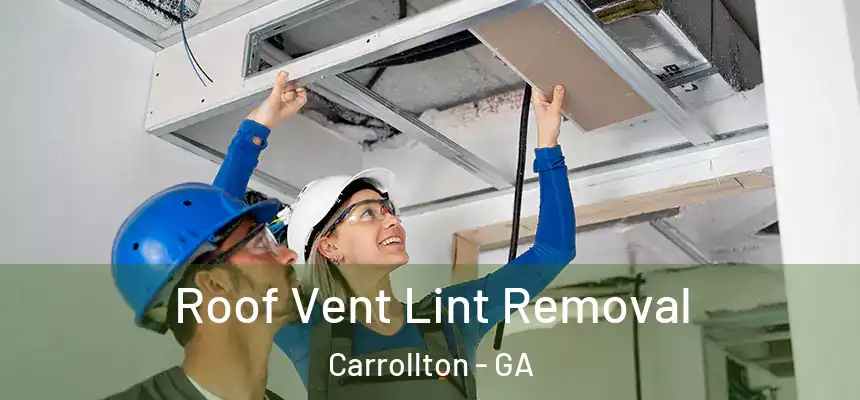  Roof Vent Lint Removal Carrollton - GA