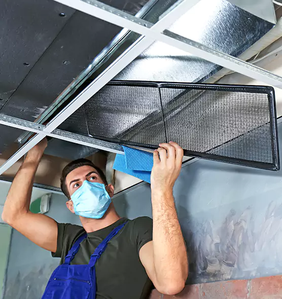 About Air Duct Bacteria Removal in Carrollton
