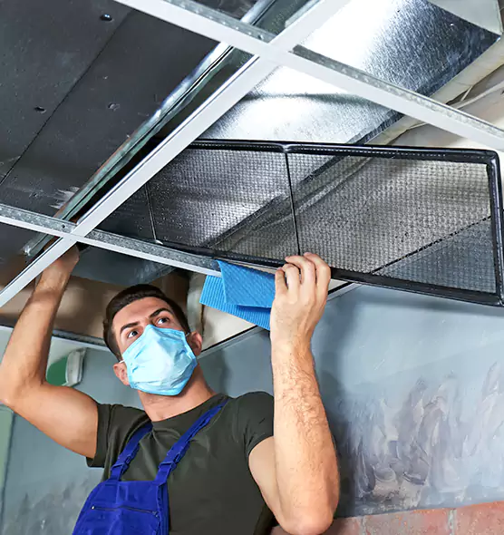 Professional Air Duct Pollen Cleaning in Carrollton, GA