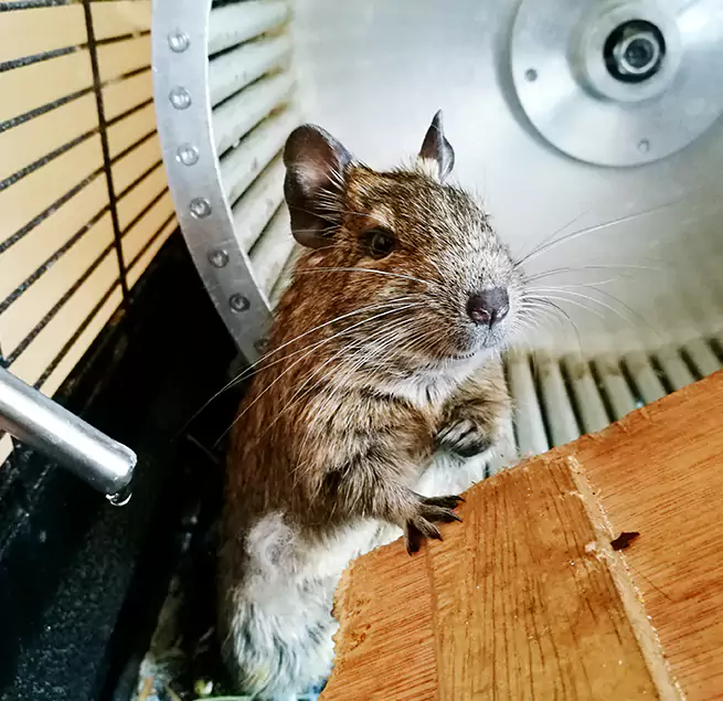 Why Homeowners & Businesses Trust Us Carrollton, GA