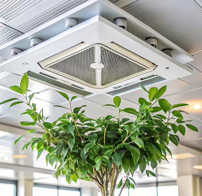 Why Homeowners & Businesses Trust Us in Carrollton, GA