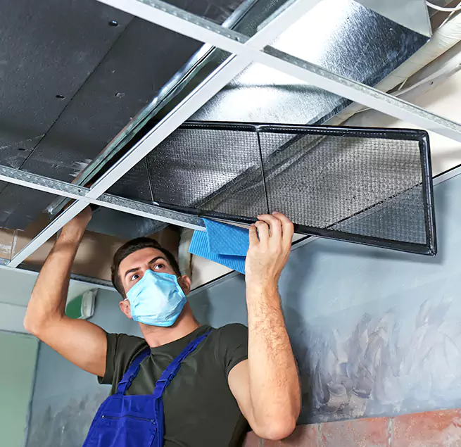 Why Homeowners & Businesses Trust Us in Carrollton, GA?